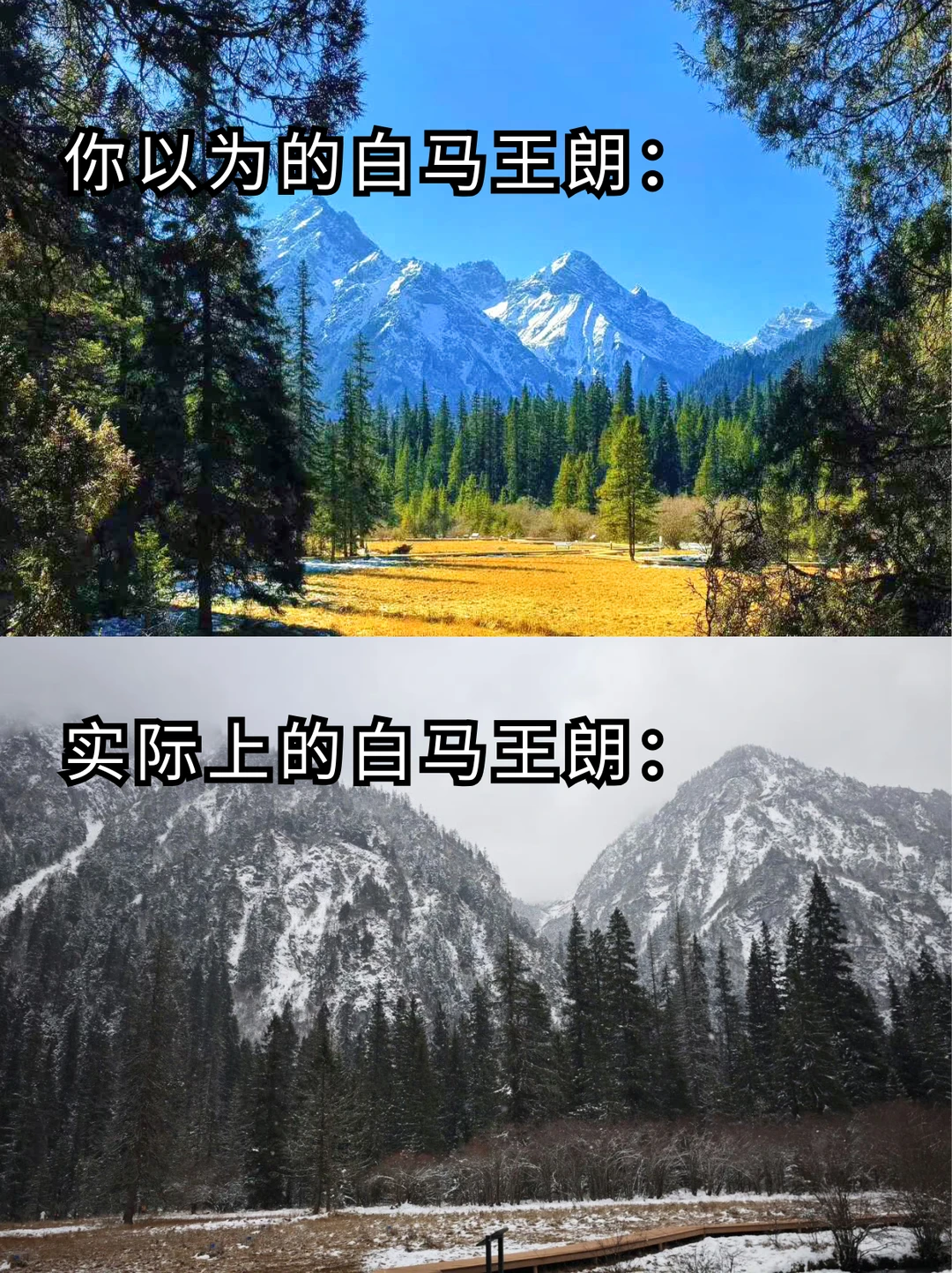 白马王朗！！！你也太好逛了！