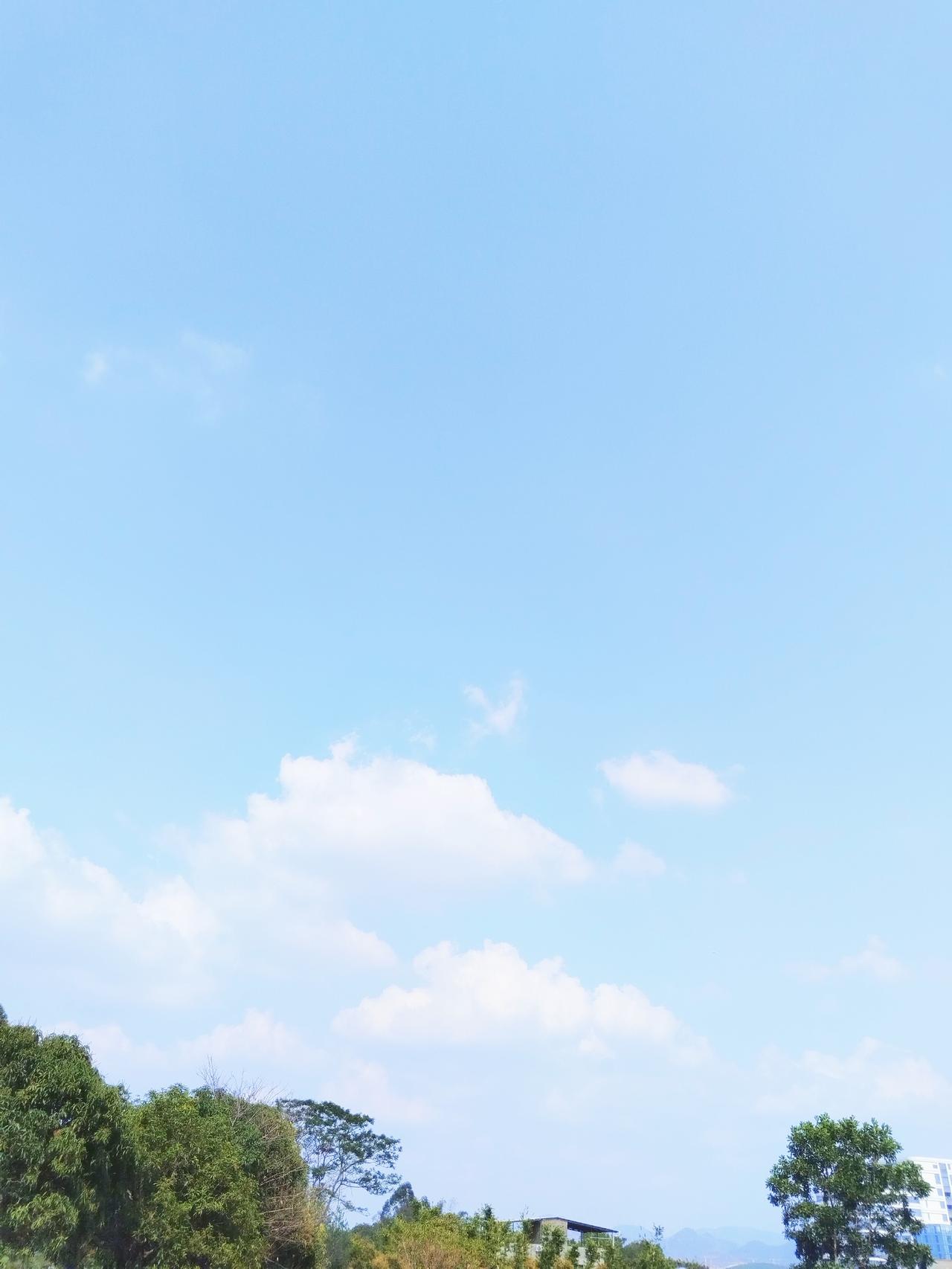 一个经常看经济、政治和历史的女人，
才会拥有真正的强大和清醒，
许多人生难题，