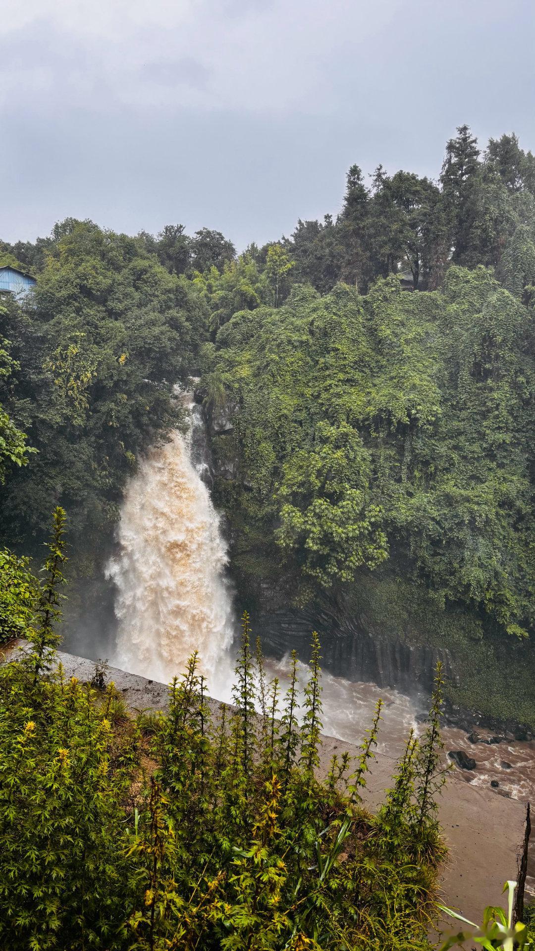 就这样，雨雨雨雨晴雨雨雨…… 