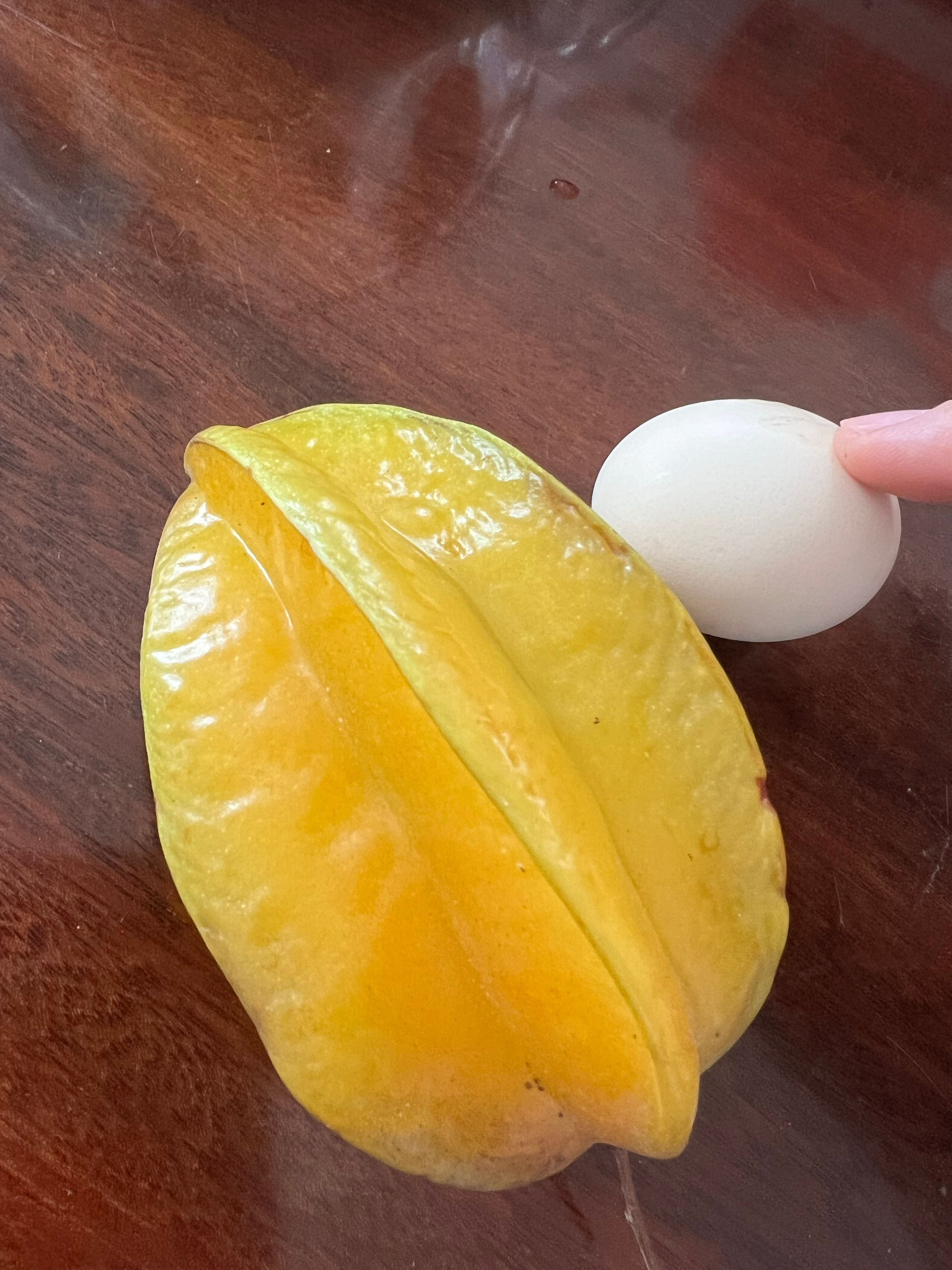 过年随手拍～吃吃喝喝根本停不下来～一年中最无忧无虑的时刻真的过上了饭来张口，衣来