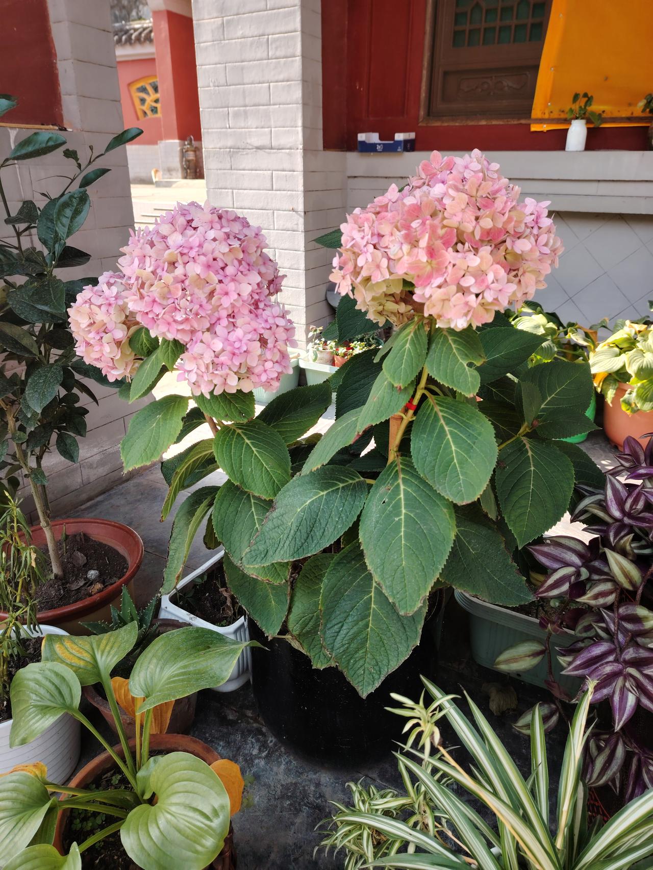 邻居的忧虑
咱们楼上有没有谁家娃下去骑自行车了，大概十多岁，把自行车骑得跟飞机似