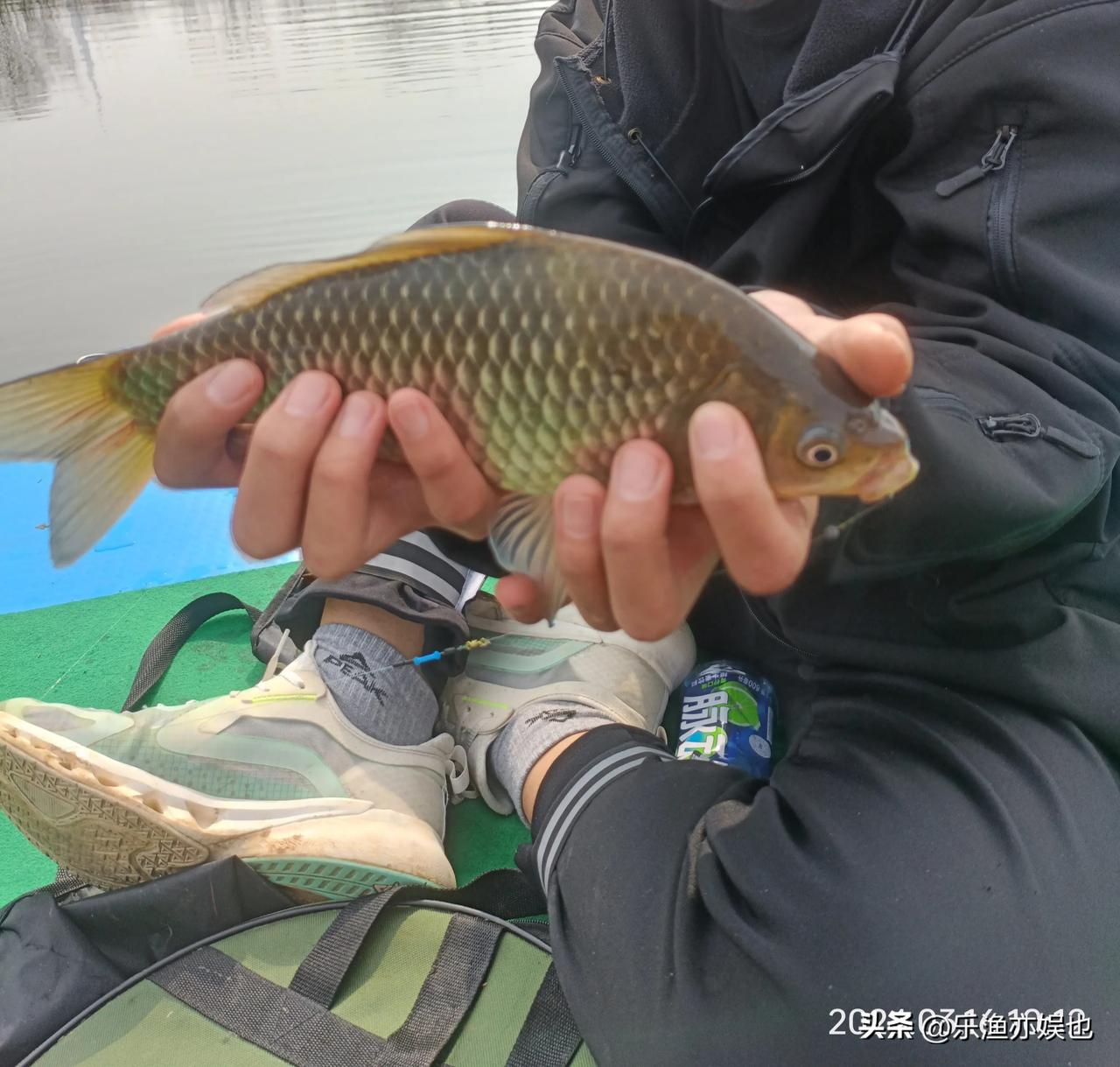 成功钓获斤鲫一条，新野白河还是有大鱼的！