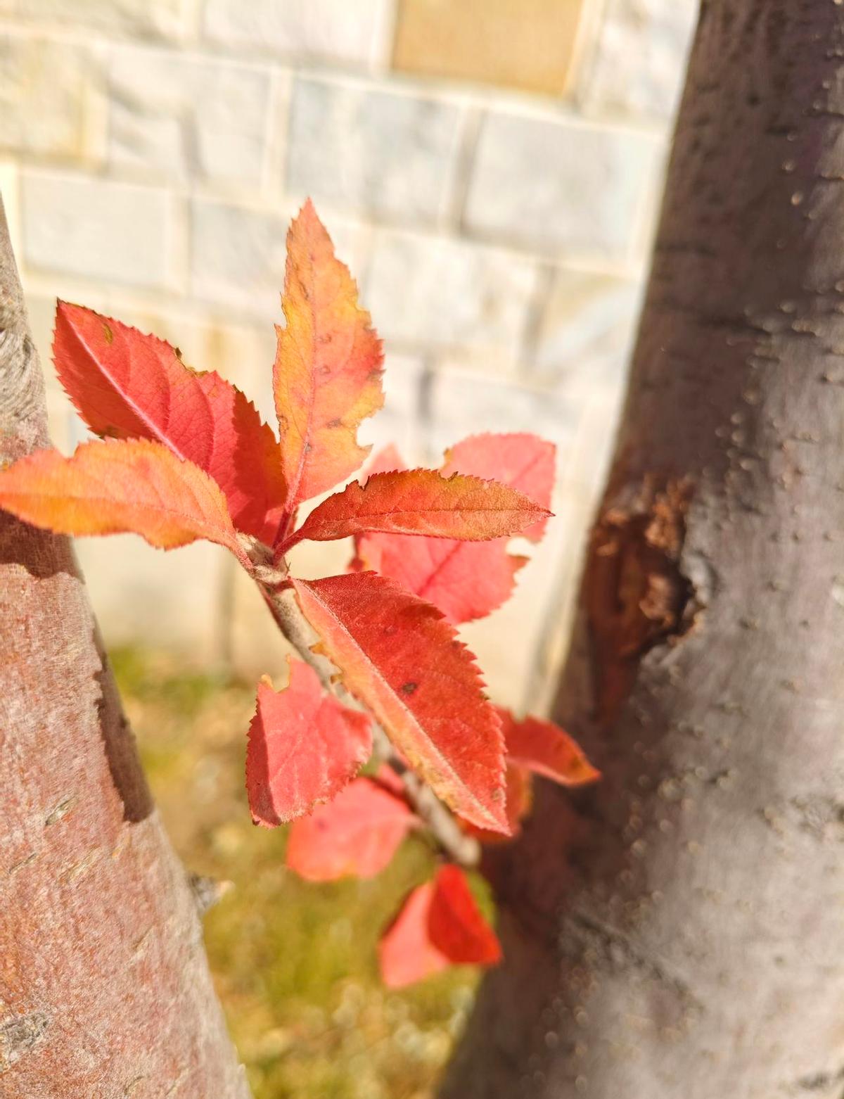 老年人手里攥着钱，不是不想花，是怕没得花。
养老钱得留够看病的，也得留点体面的。