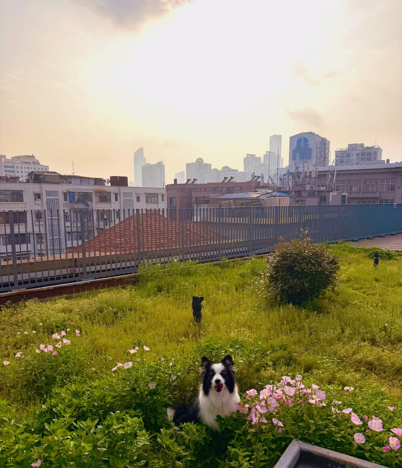 不要反复咀嚼自己的痛苦

姐妹们！咱普通人解决不了任何问 题，维持当下生命体征就