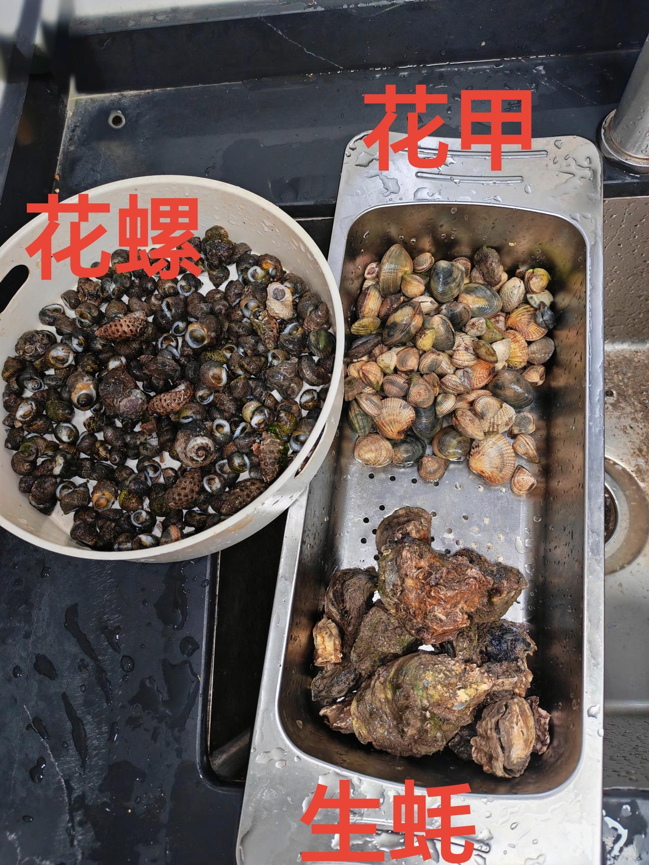 5.2赶海