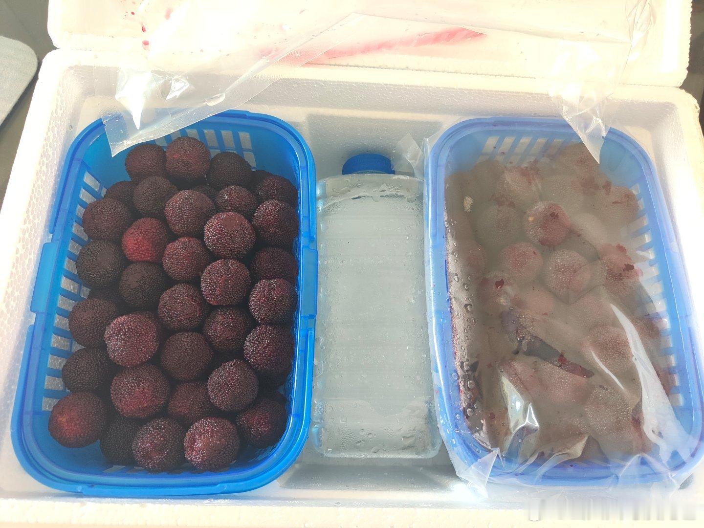 买了6斤东魁杨梅，本着怀疑一切的原则，到手就用果蔬粉泡了，泡完一看，表面油乎乎的