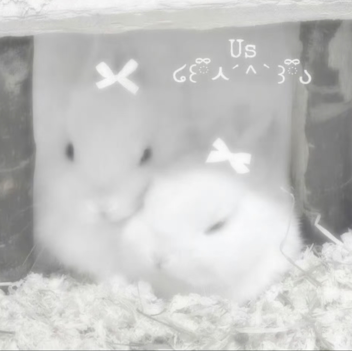 :眼淚是回到過去的河流             · ·───── ·♡· ───