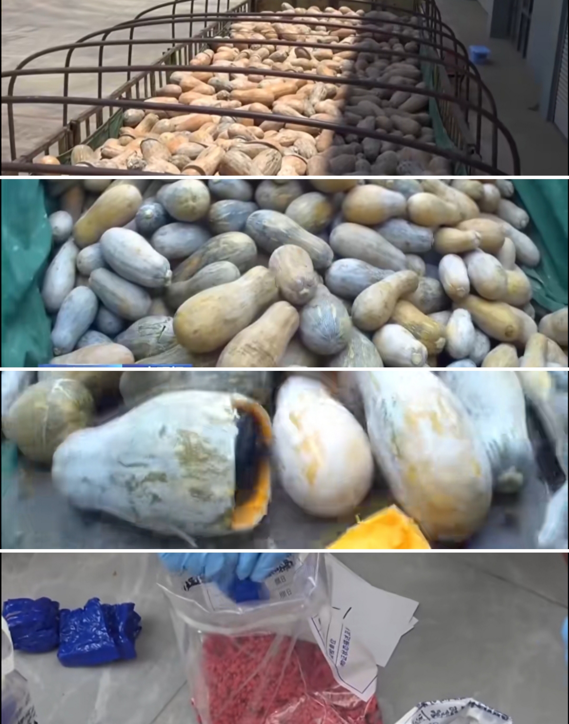 警钟长鸣！刚刚在云南一大车南瓜里，查出来三百多斤冰毒！¹ 坐标：云南省，西双版纳