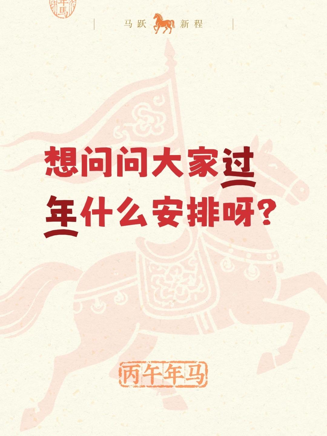 想问问大家过年什么安排呀？