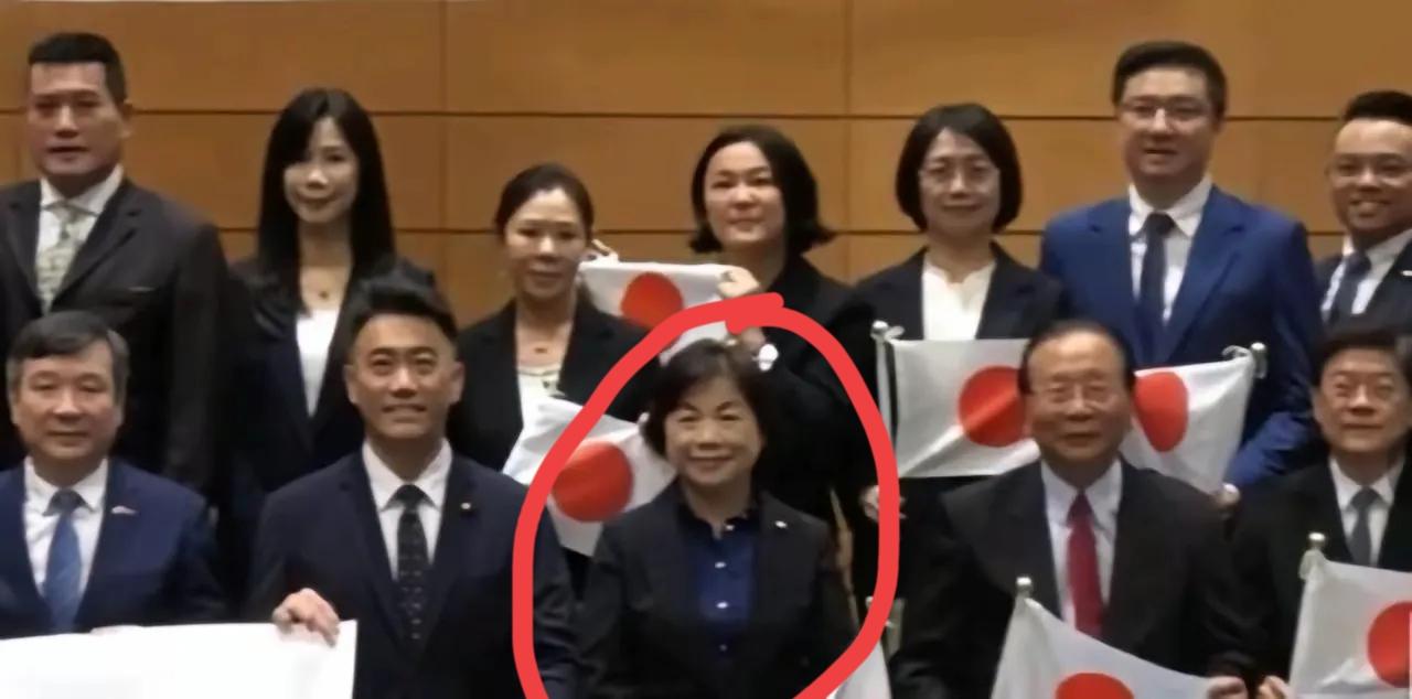 国民党九三访日团，眼熟吧！这个我们国内大学拼命邀请她来传播“小民尊严”的龙某某，