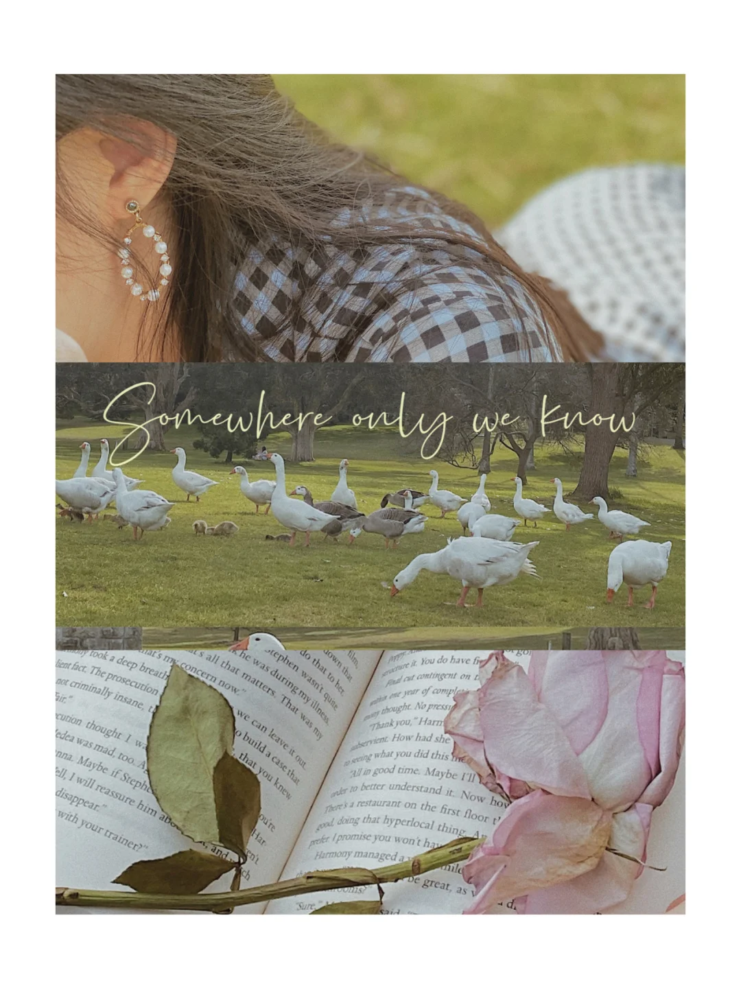 悉尼小众景点｜手残党简单拍摄法式风格技巧