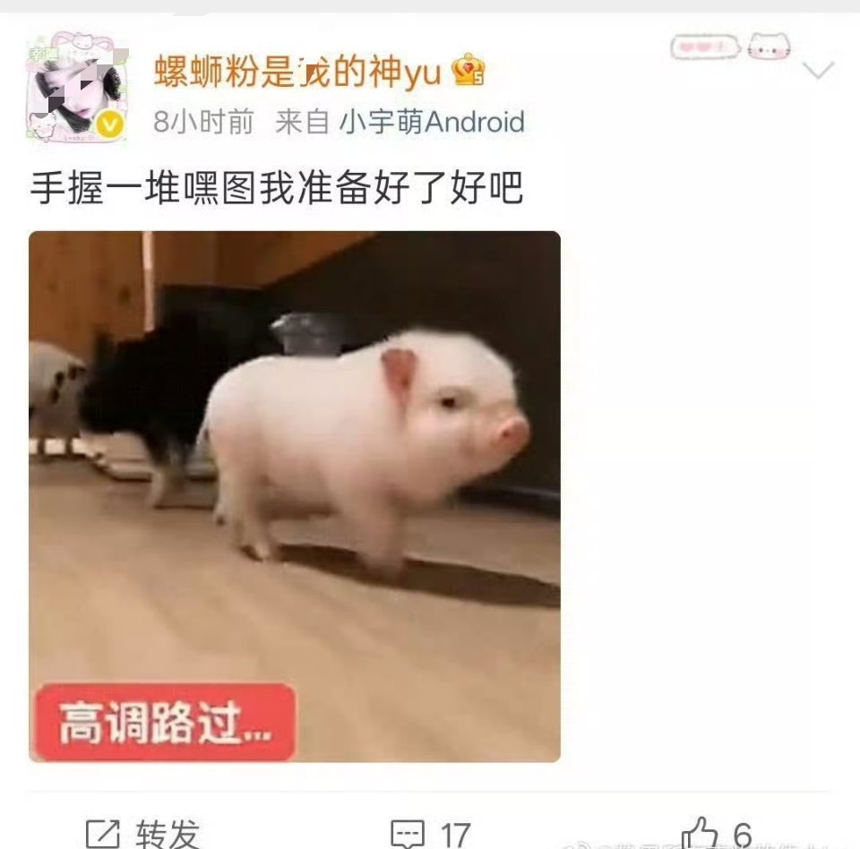 外形只是载体，文化底蕴才是国风的内核，拿表层网红审美定义整个中式美学，才是对传统