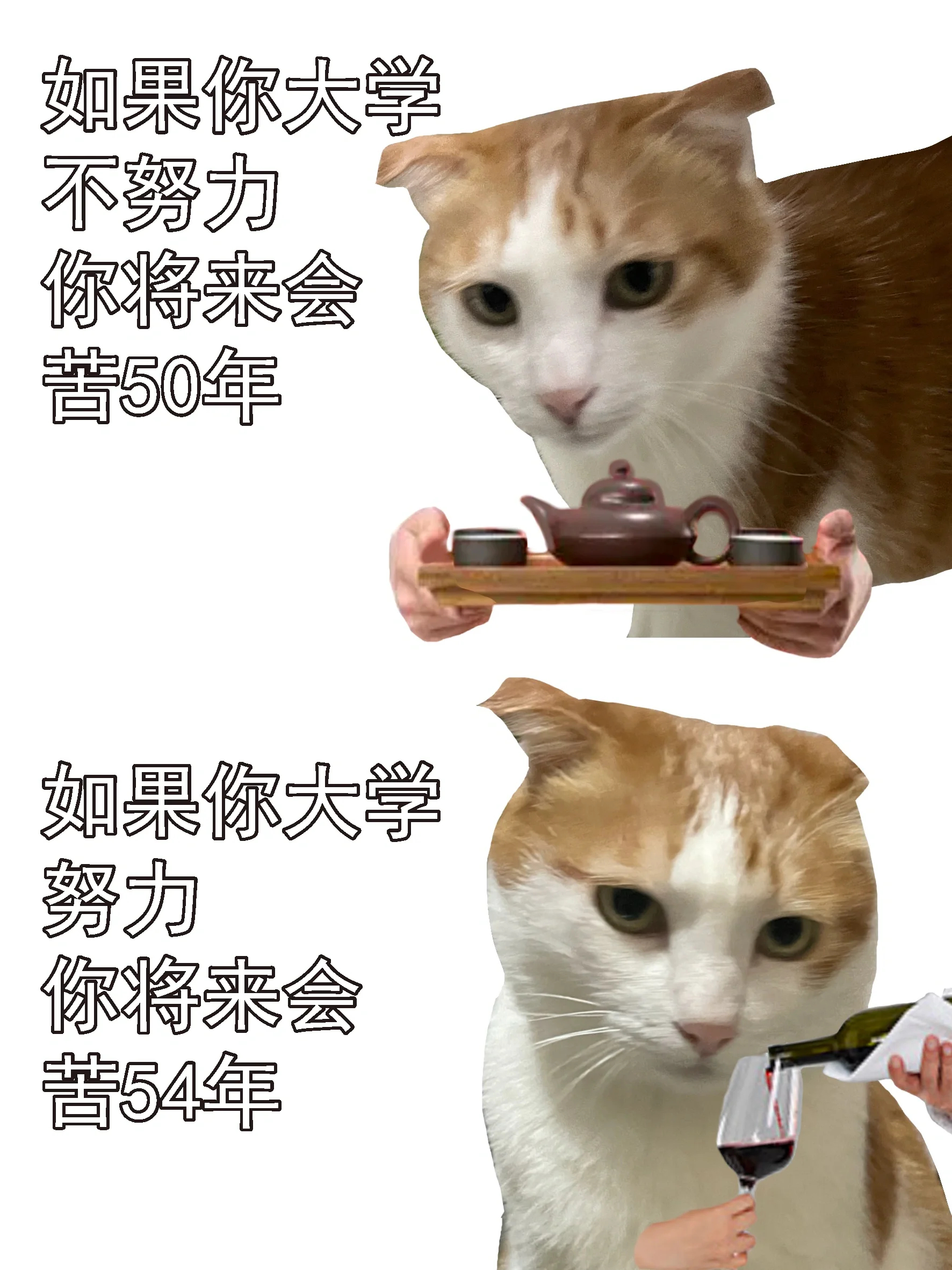 好久没那么正能量了，快来“热血”一下[doge][doge]#春日cityhap