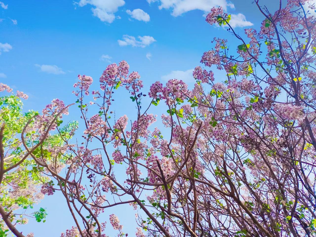 风可以永远自由，而列车知道下一站的站名。这世间有一种幸福，是在确定的轨道上安心看