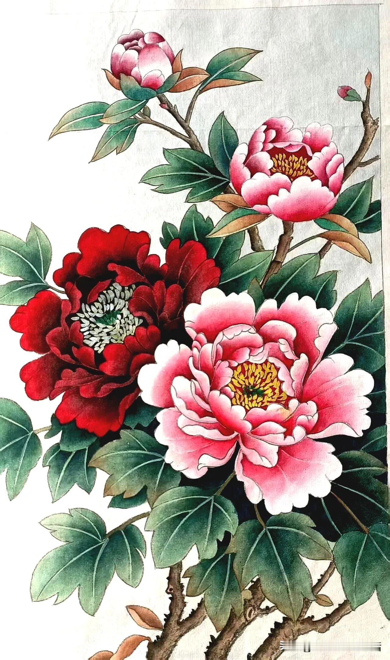 花开花落，岁月如歌。