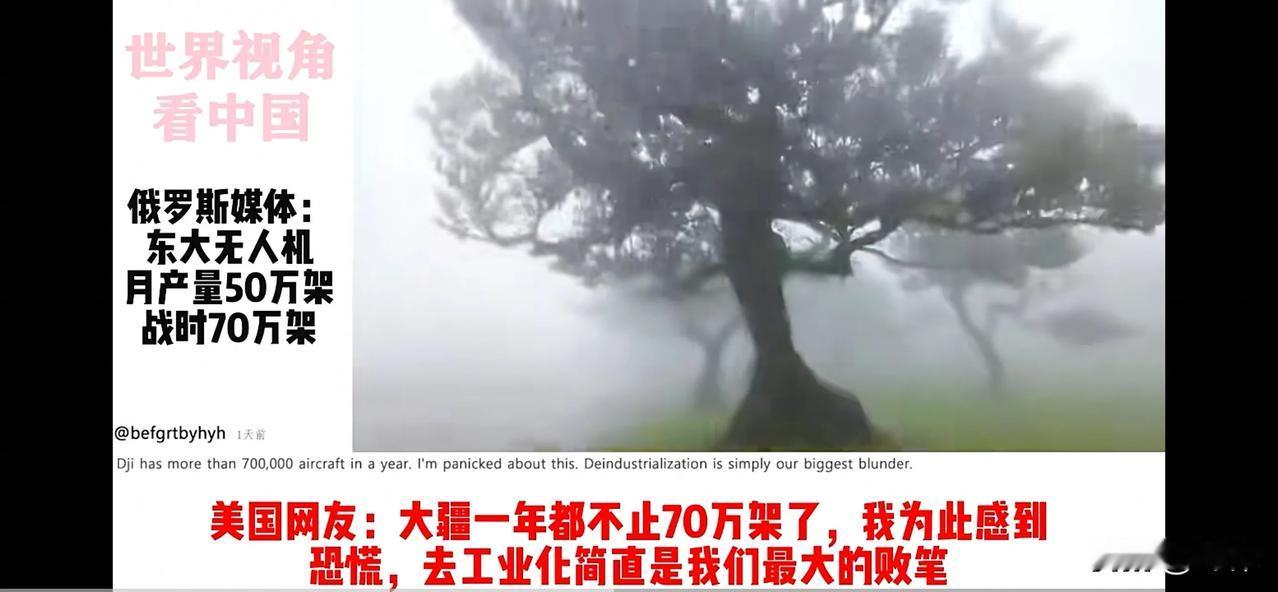 全球网友：中国，请收下全世界的膝盖（五）

日本网友：太小看他们了，他们有无数个
