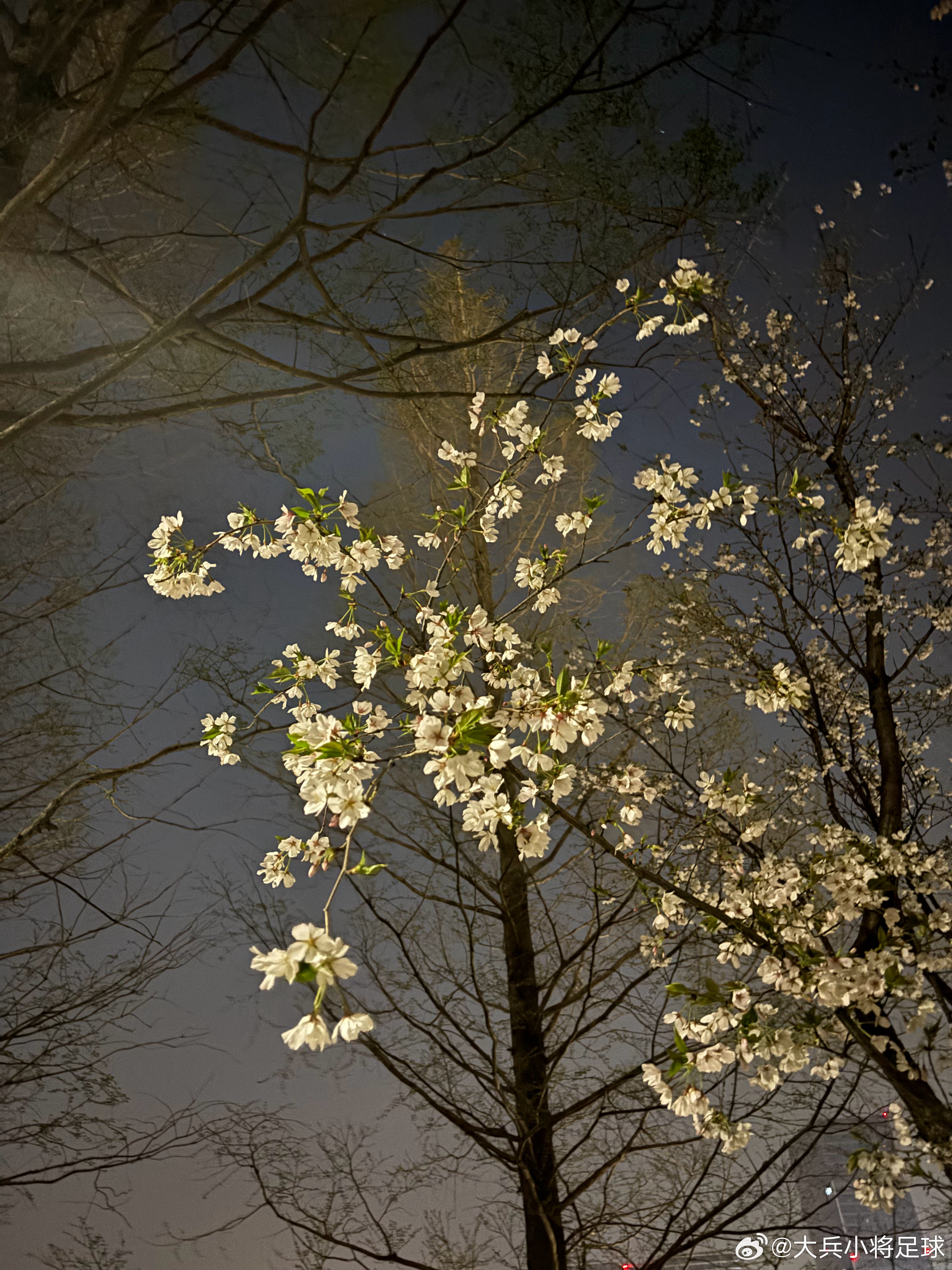 压着跑 愚人节之跑