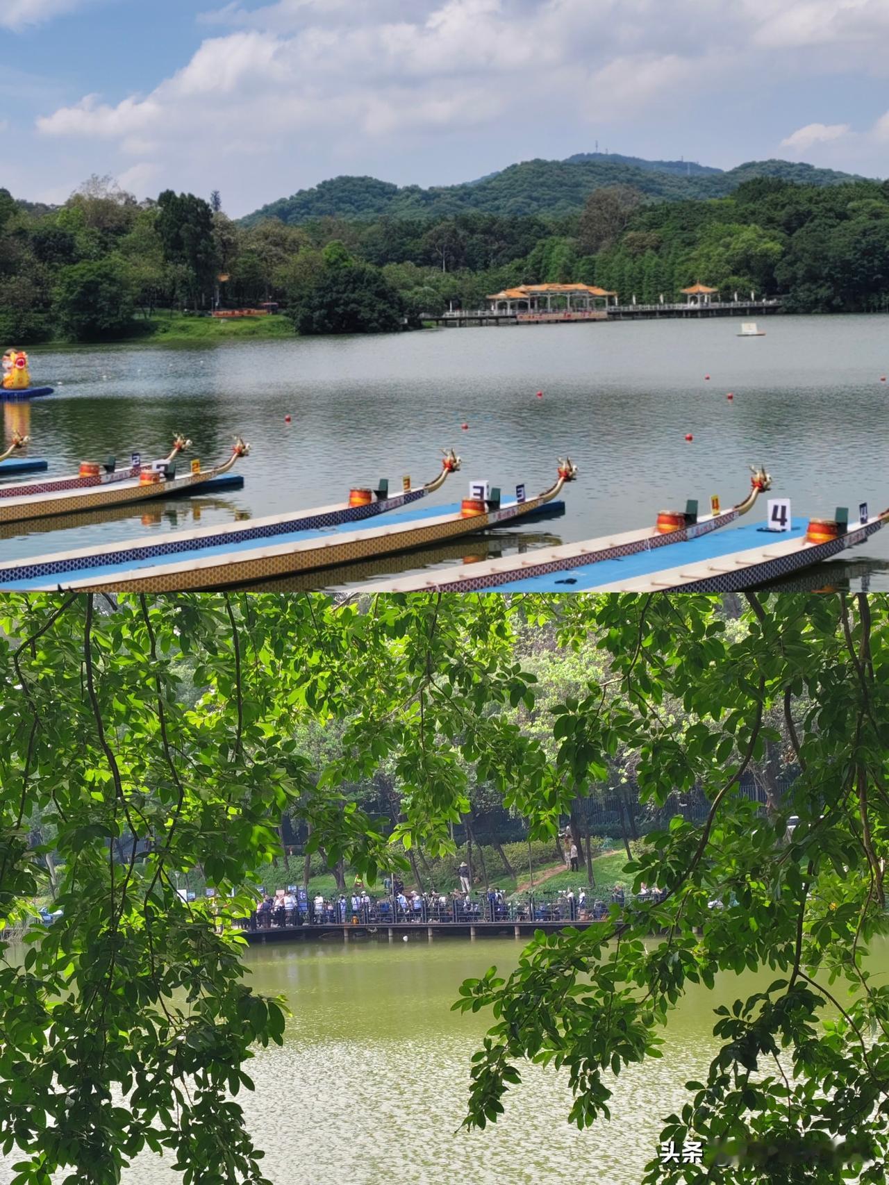 广州麓湖实拍｜一身汗水拍下湖景，拍照别盲目攀比
5月24日下午两点左右，广州越秀