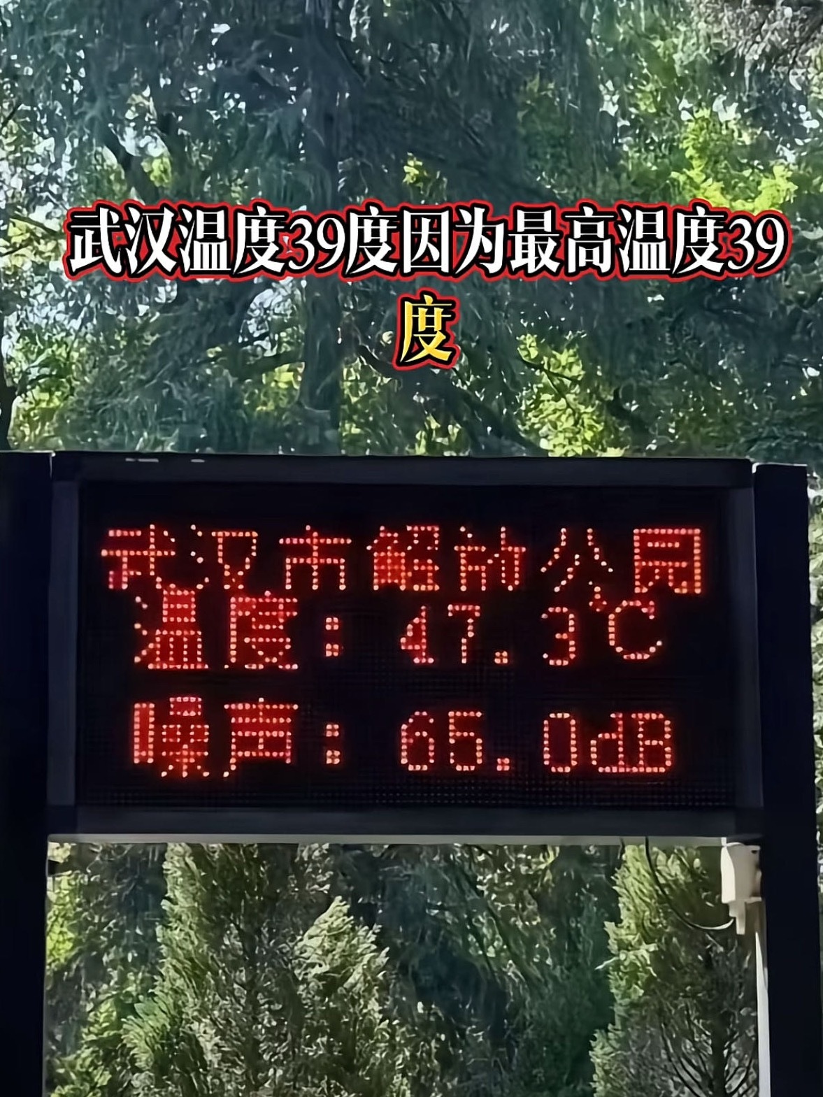 最近来武汉旅游的宝注意一下高温[淡淡的] ​​​