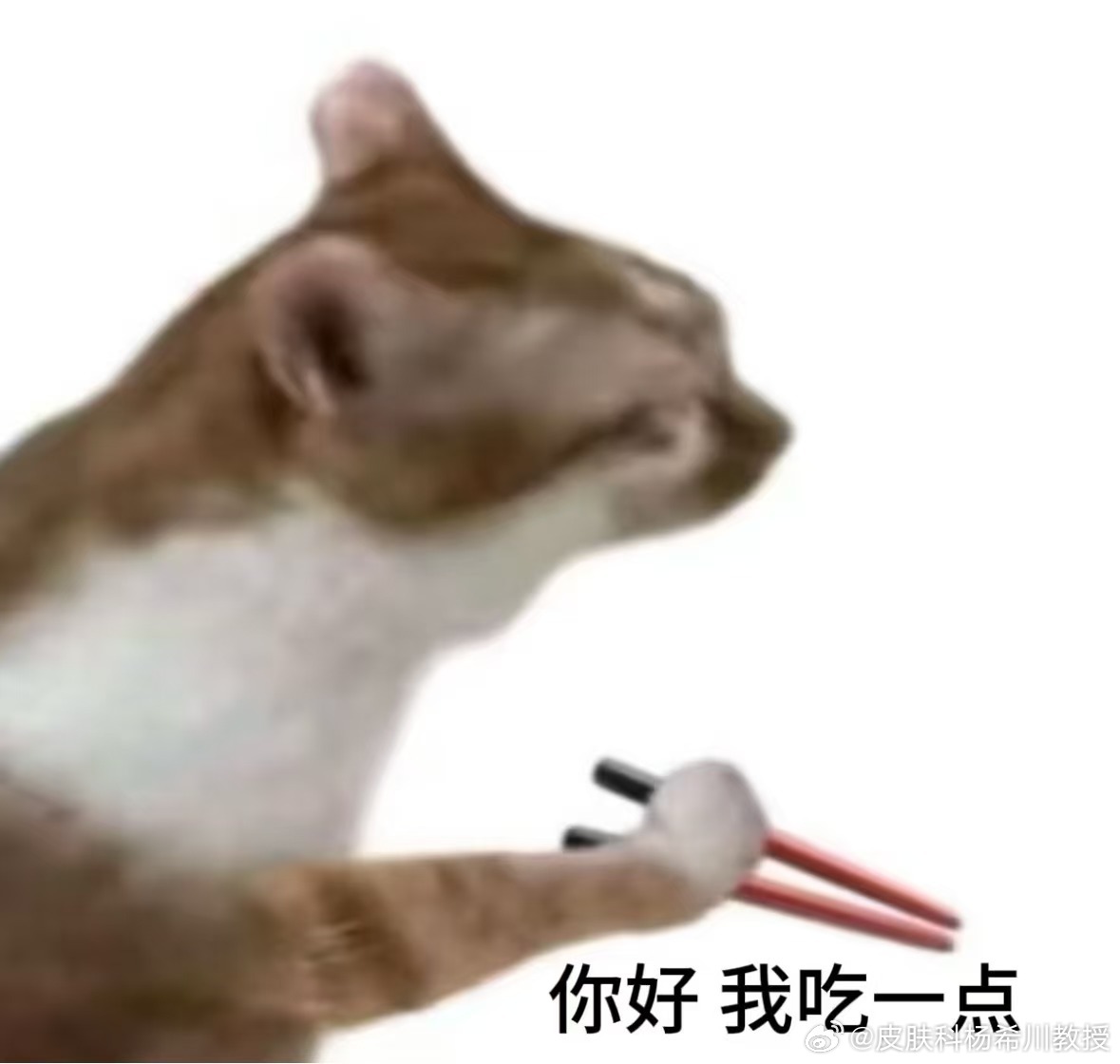 一句话科普  造成毛孔粗大的三大元凶是油脂、紫外线、年龄，当然也与抽烟、做饭油烟