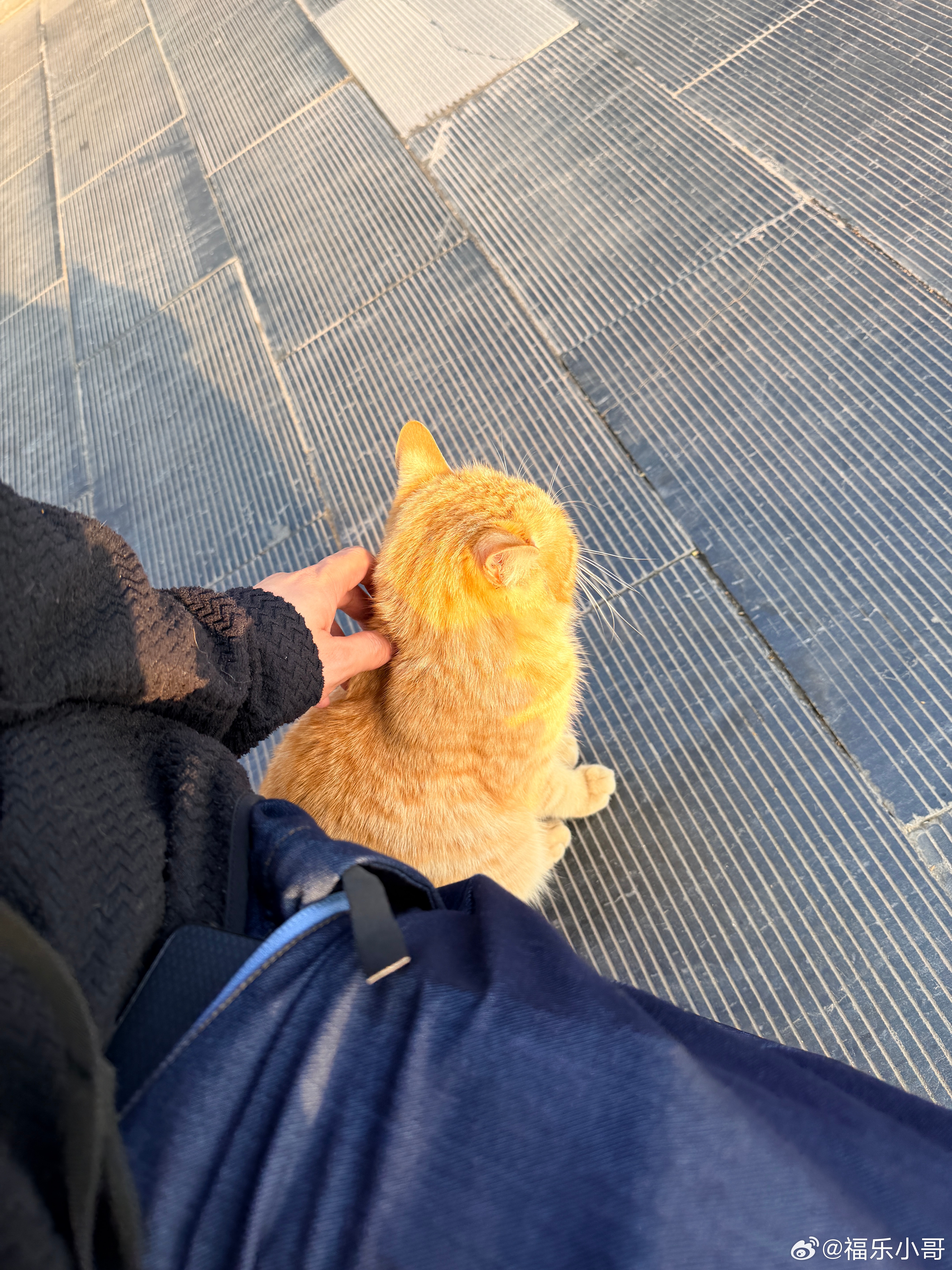 打卡中国四大石窟之一，龙门石窟。见到了“剪刀手佛像”，还和小咪拍了大头照（ai盛