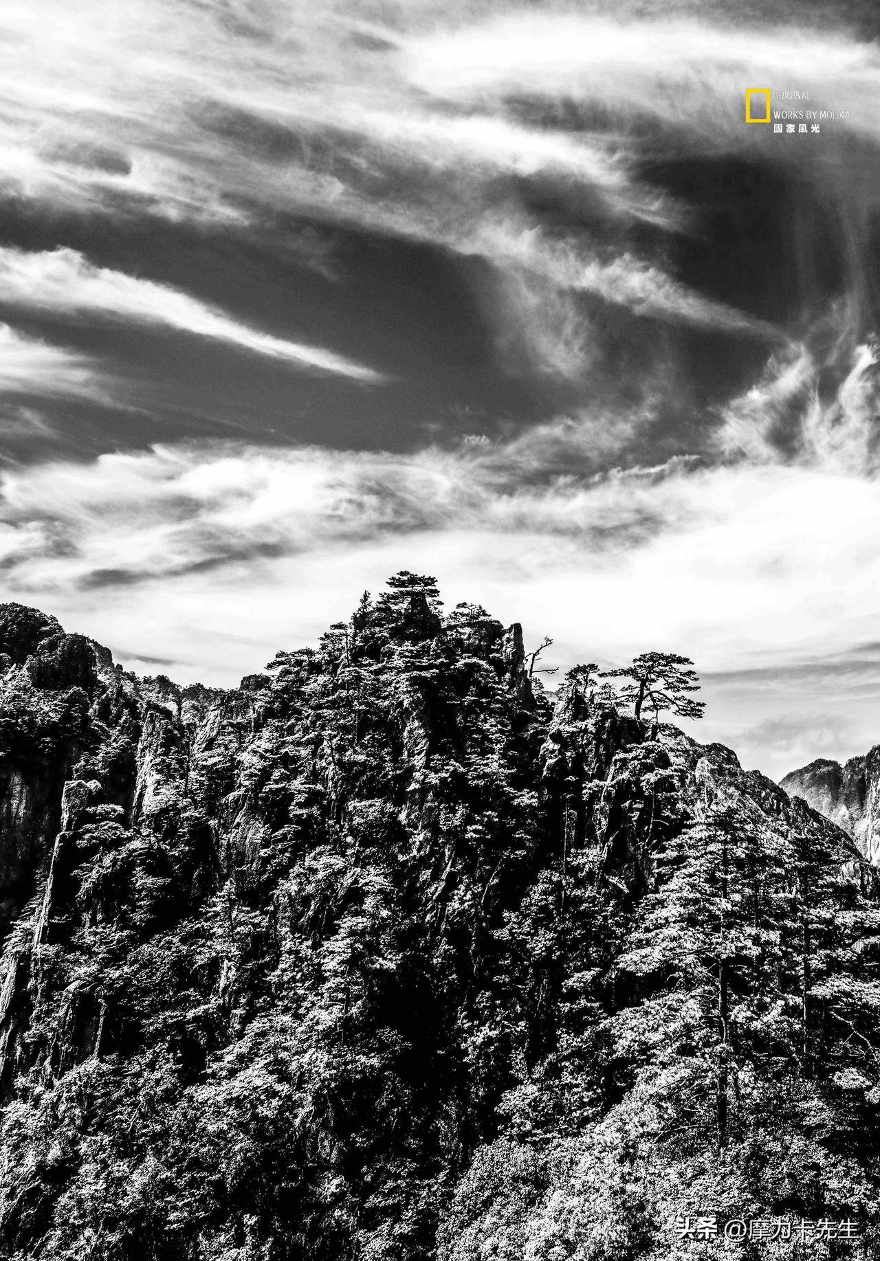 褪去世间万千色彩，只剩山石嶙峋，松影孤傲。
云海翻涌过千年峰峦，苍松扎根绝壁崖边