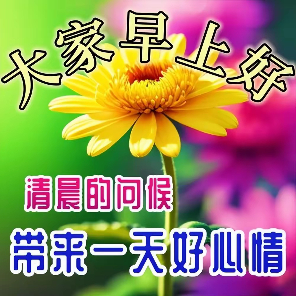 各位粉丝，股友们，大家早上好，祝大家在股市投资顺利，一路长红上涨上涨上涨做事要有