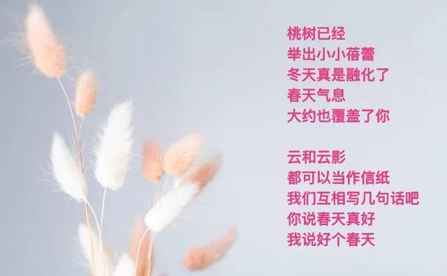 ，
阳光下
没有一个影子
不恍惚
．
阳光下
没有一粒种子
不能发芽
·
藏起影