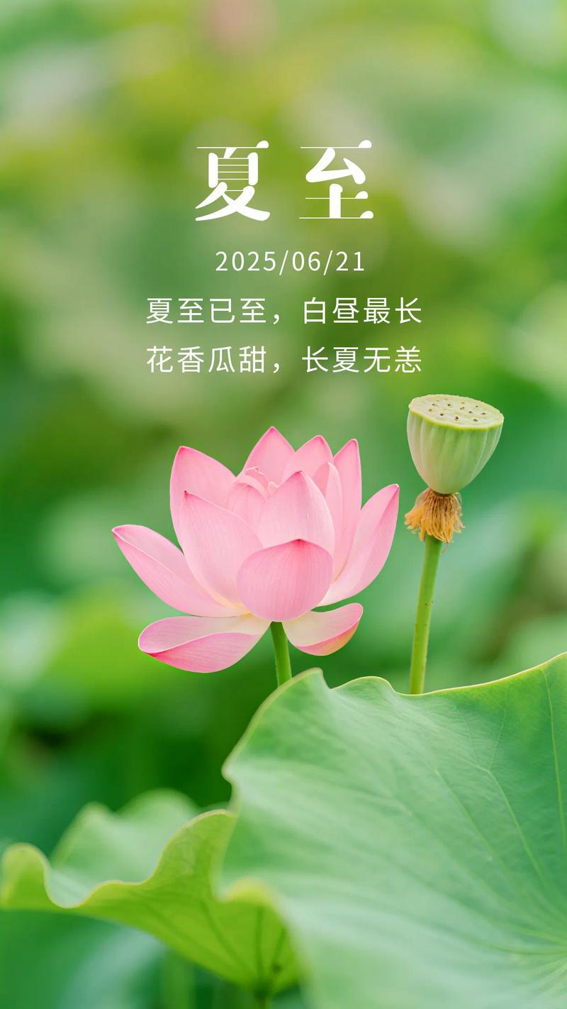 立夏抒怀
 
春天还未相拥
夏日悄然临穹
清晨暖阳遍洒
大地复苏情浓
林间鸟儿欢