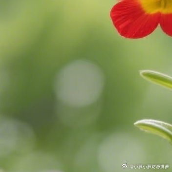 生活其实很简单，看透是一种领悟，看淡是一种轻松，看开是一种快乐，想多了都是问题，