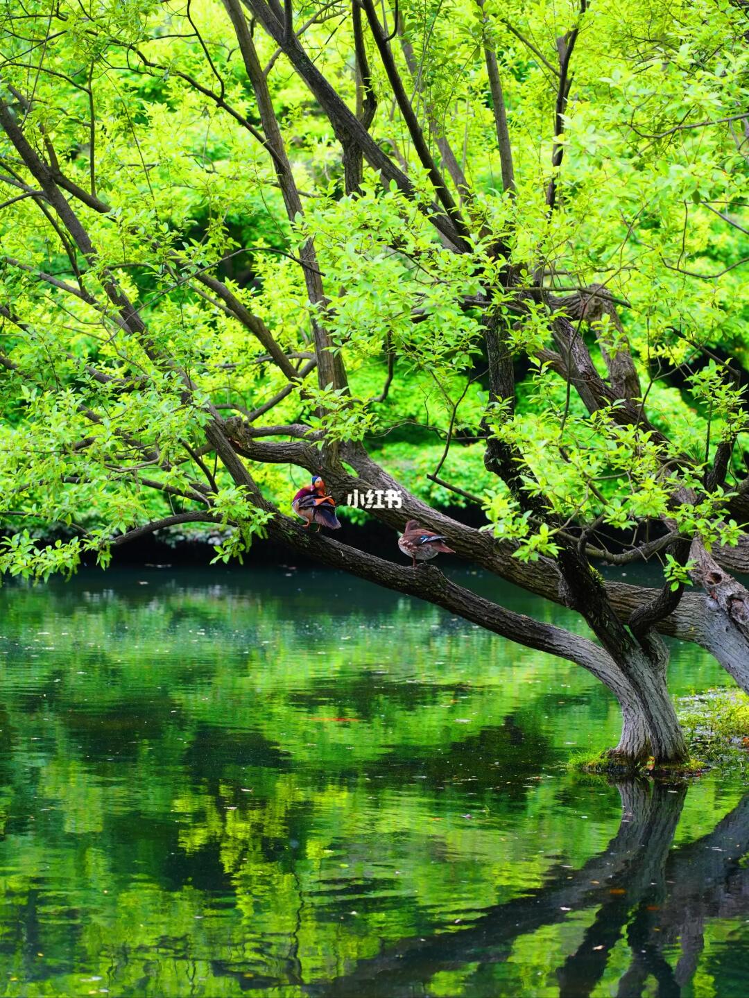 6月游杭州听劝‼️收好攻略，避开80%拥堵