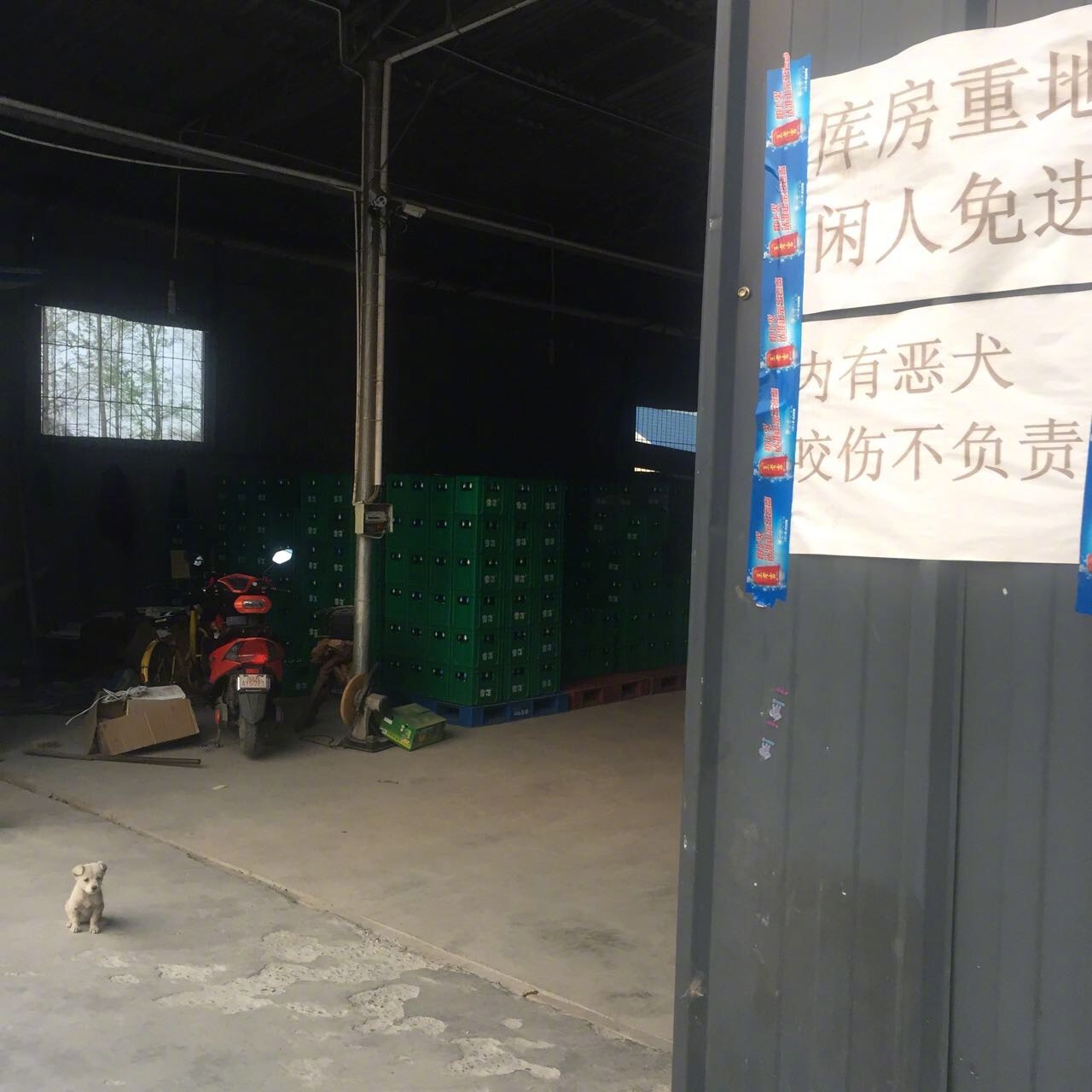 吓死人了，最起码拴一下吧？ ​​​
