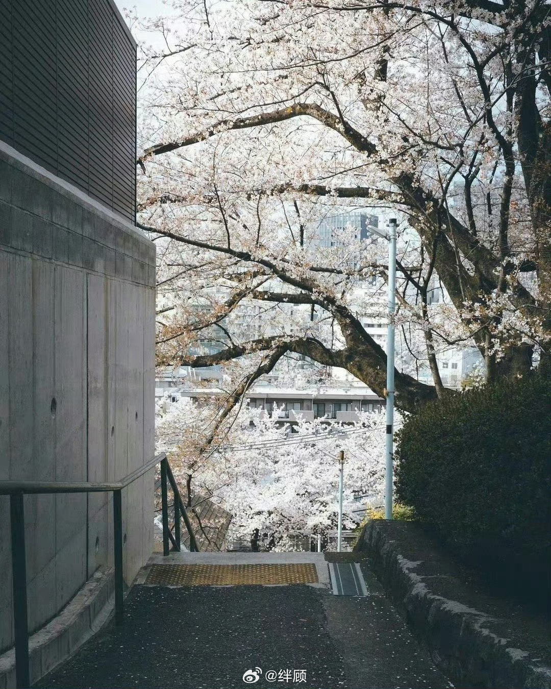 接下来一个月你做任何事情都会成功 