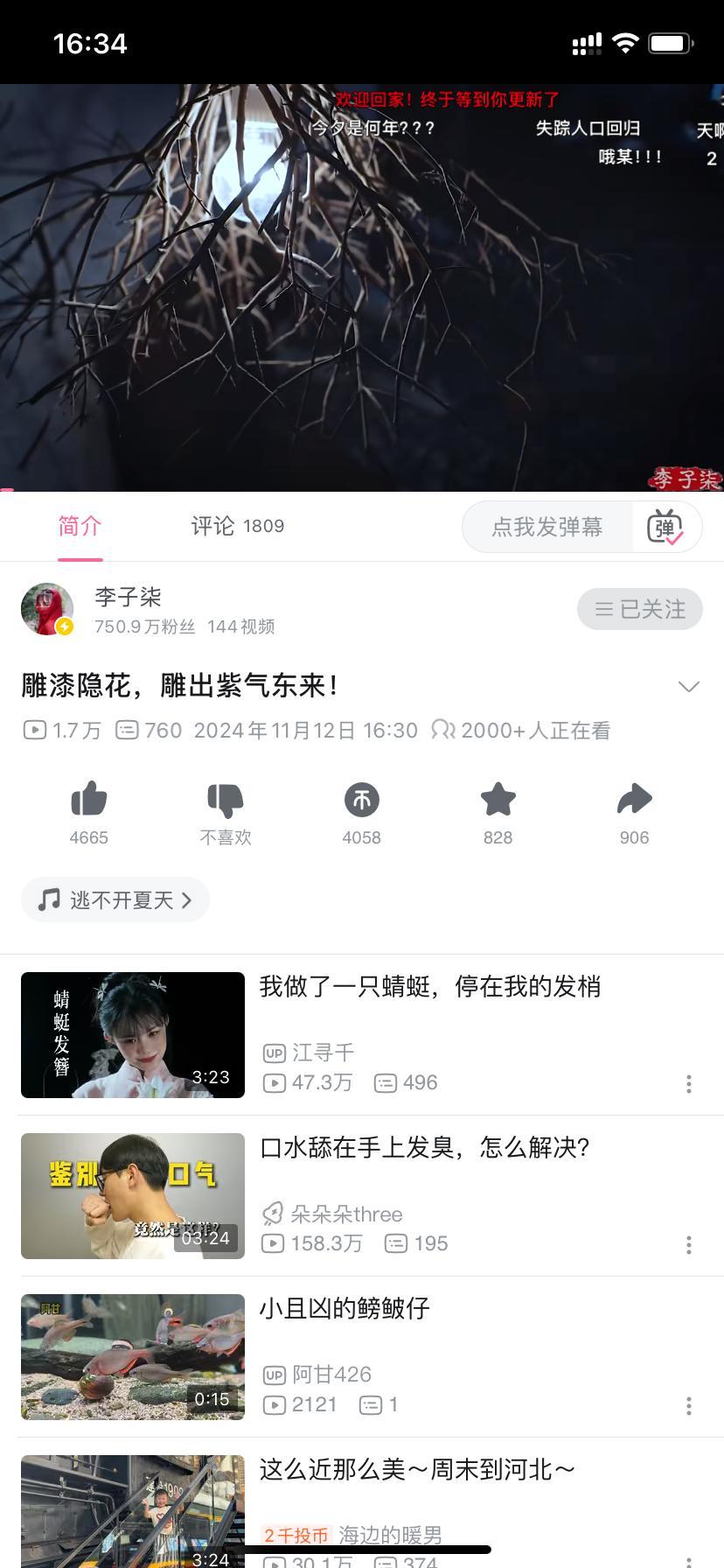 李子柒回来了！恢复更新！！！！！ ​​​