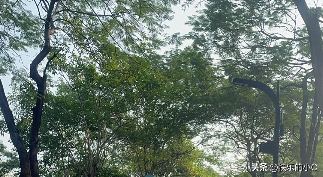 要我说，这问题就像在问“腿和心哪个更重要”——没有腿走不远，没有心走不对。

年