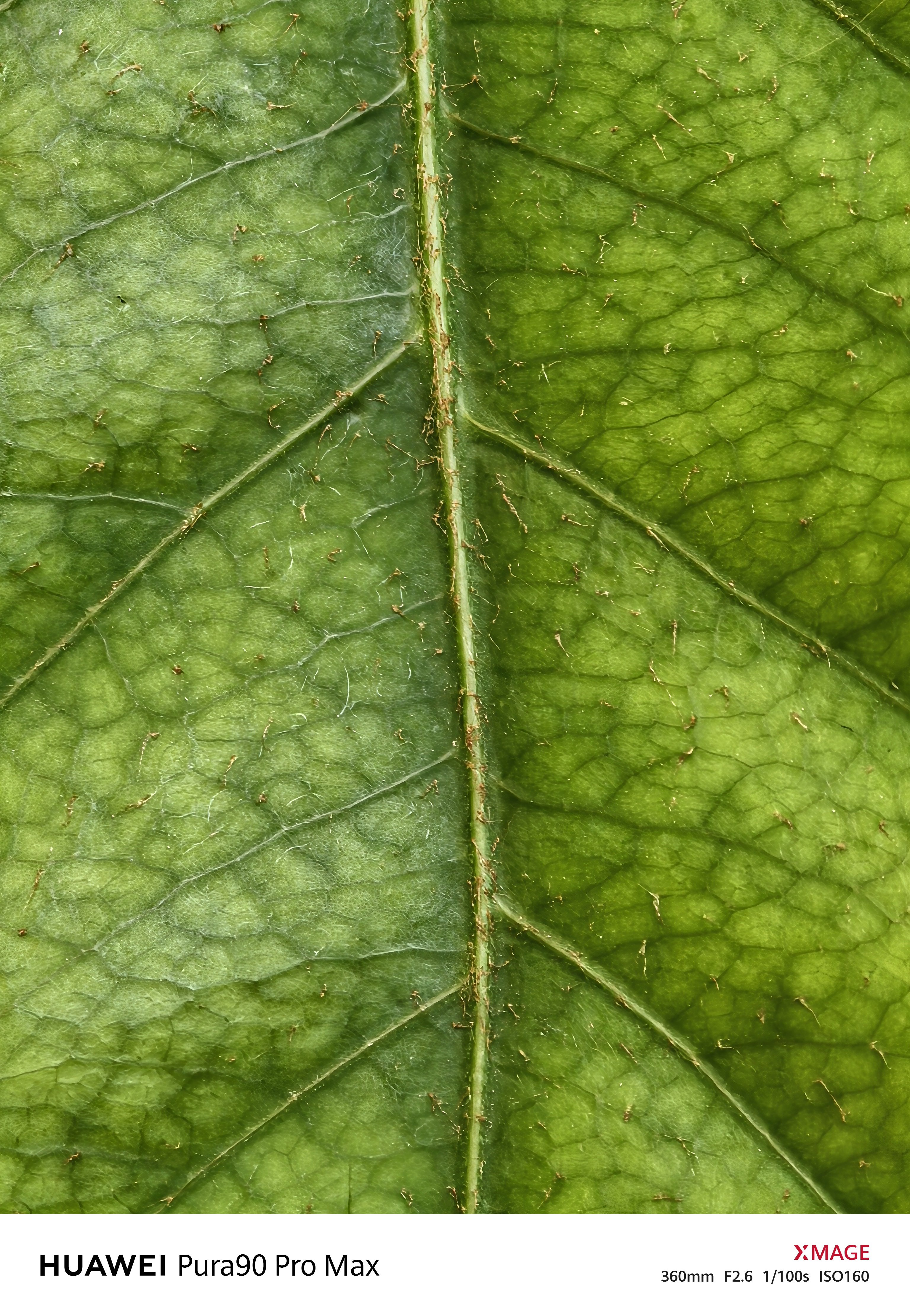 还得是华为，Pura 90 Pro Max这2亿长焦有点东西，一不小心又成第一了