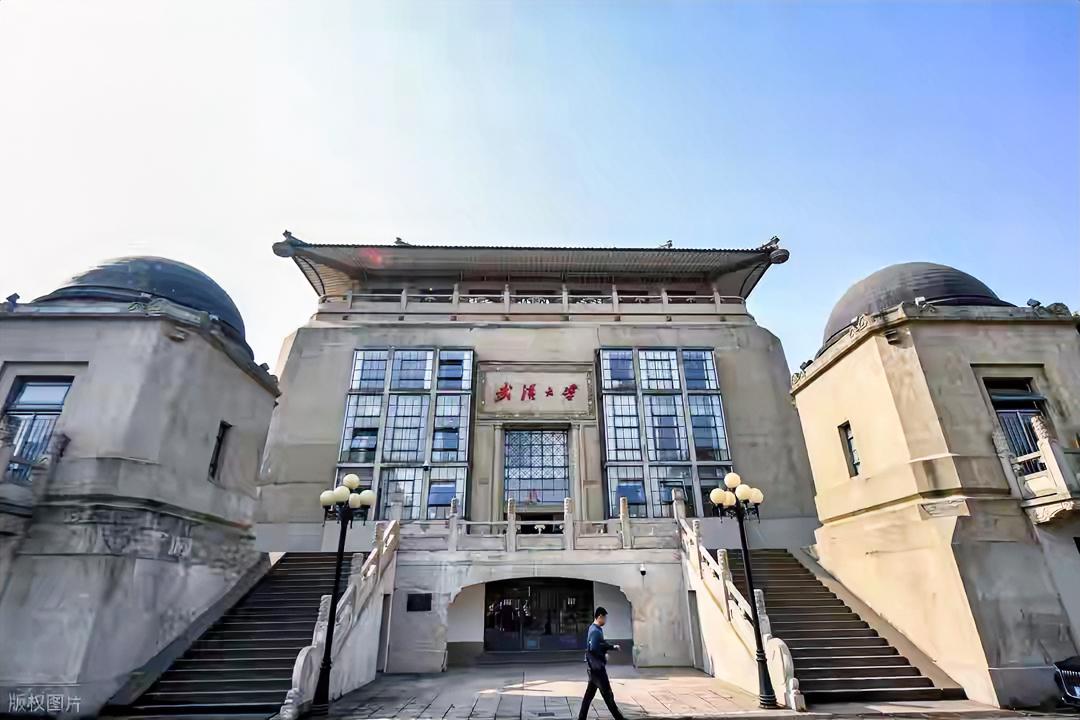 惊掉下巴！武大这波操作，真的把“精明”二字写脸上了。

杨某某那论文，百处错误、