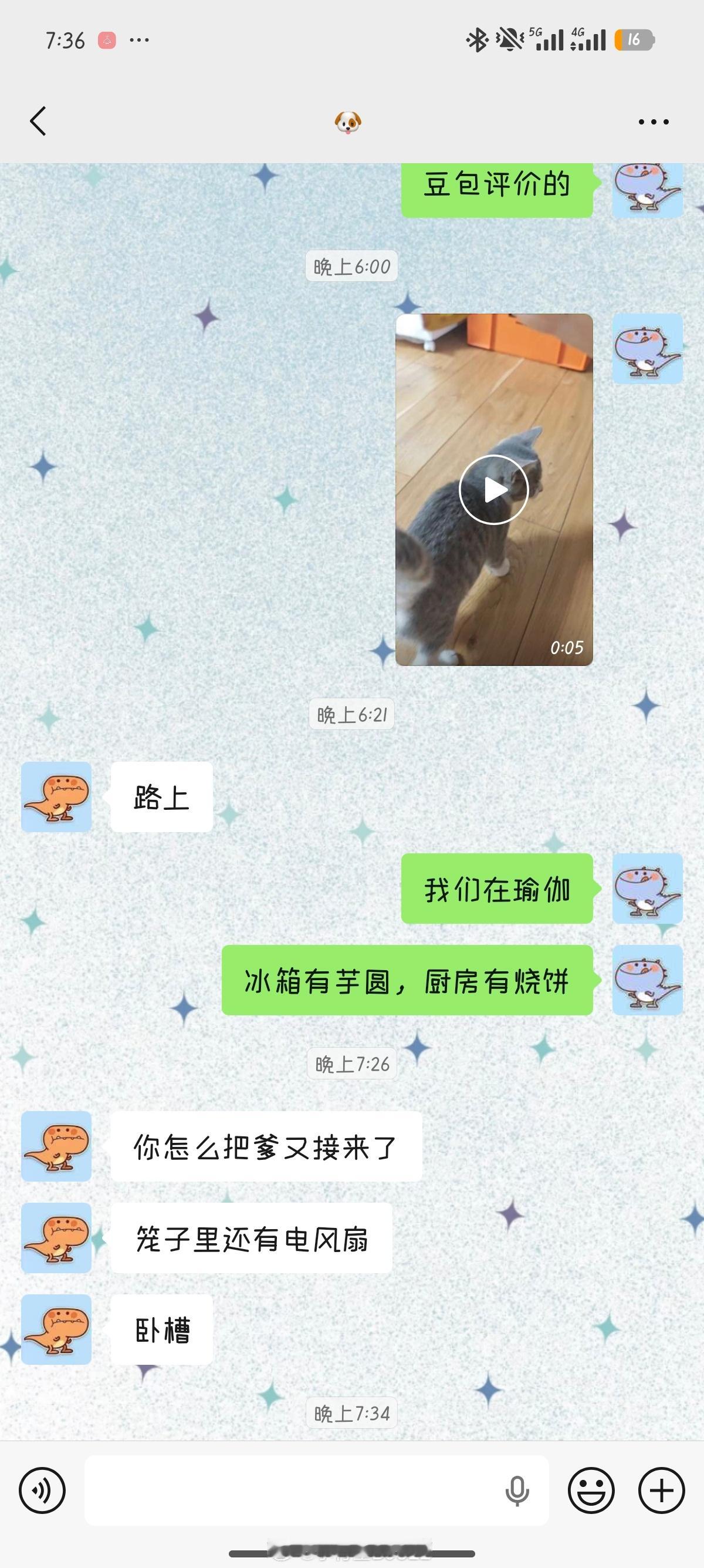 是的又把爹接回家了两个月没养更胖更可爱啦小布小布 ​​​