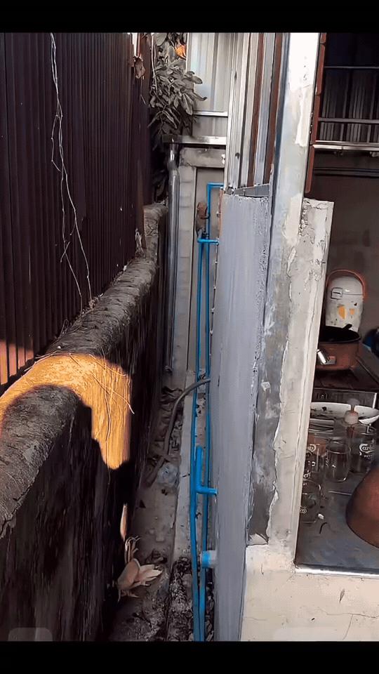 看这疲惫又倔强的造型，昨晚指定是加班加到天昏地暗，困到极致了😂