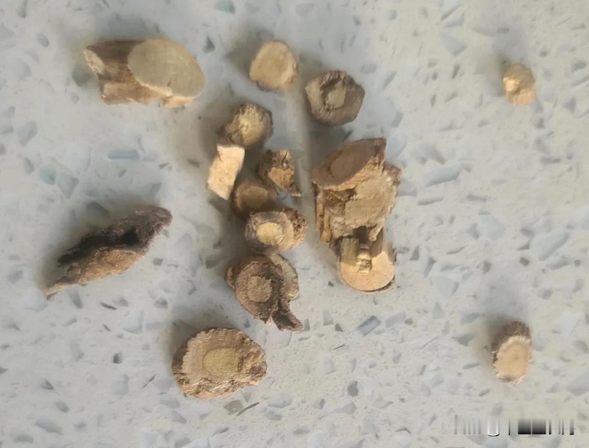 关于高考报中医药，有一部分人说真好，有一部分人说中医不好。专业这事，个人感觉兴趣