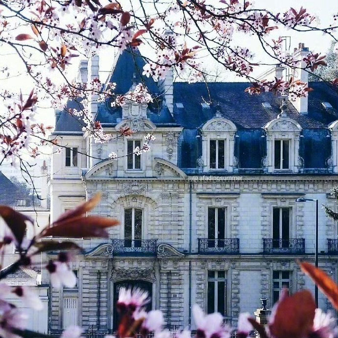 【这里是法国】在雷恩，紫气更带给你丝丝的浪漫气息。 