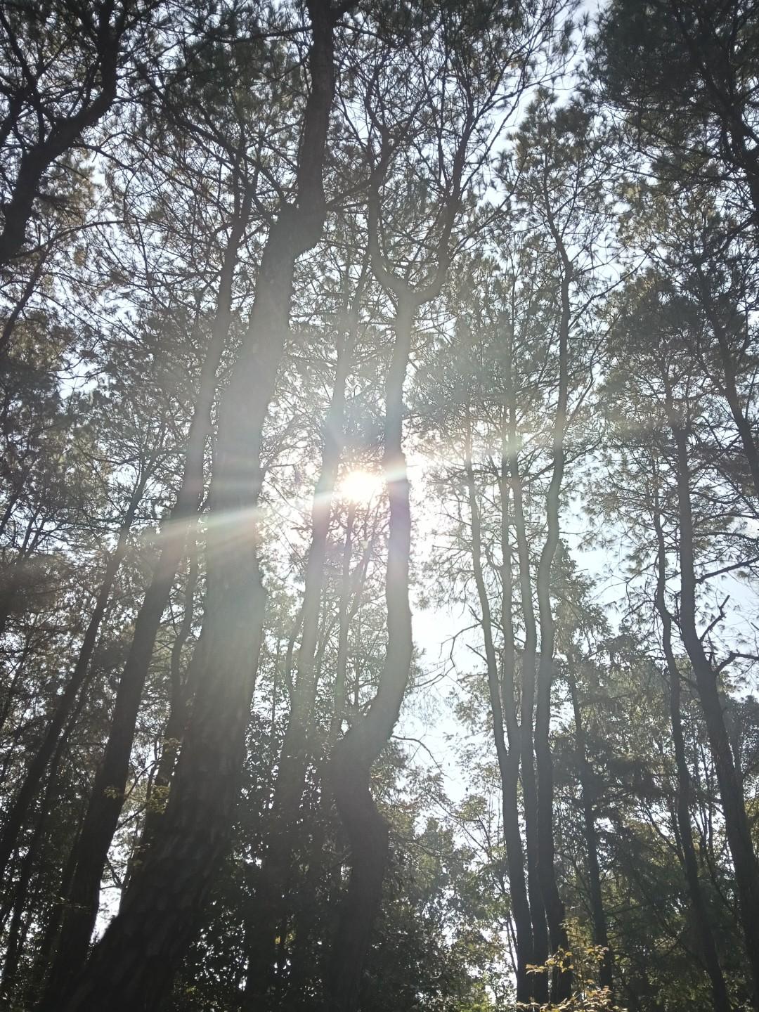 路是走出来的，还是选择出来的，这真是个让人纠结的问题。有人觉得选对赛道就能少奋斗