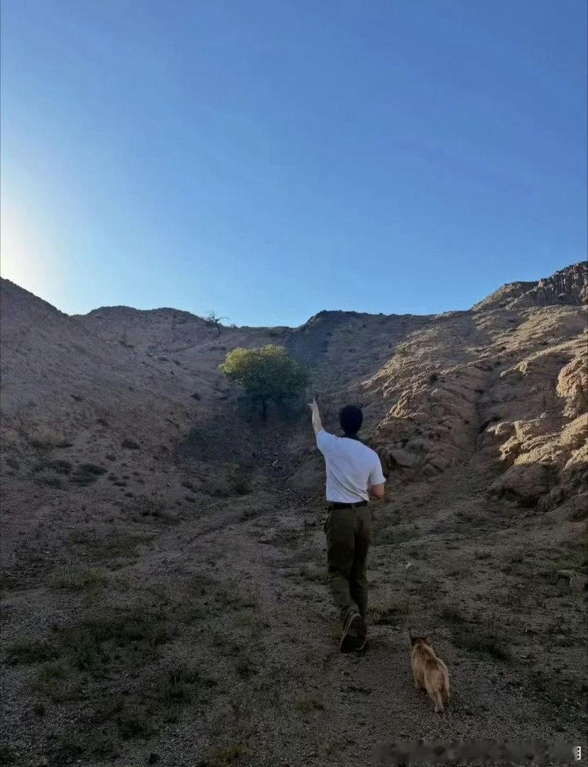 黄景瑜为了宣传满山头找信号觉醒之重启内娱最敬业宣传委员实锤！《觉醒之重启》在戈壁