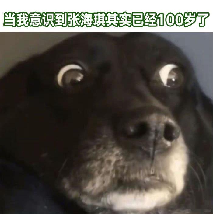 南部档案百岁老人要嫁人 原来无论活到多大岁数都绕不开婚嫁，张海琪筹备婚礼的样子让