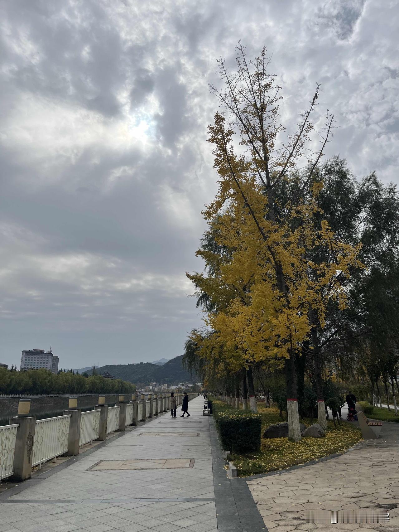 就是这一片河滨公园，这几天有一群野猪出没，打死了几只，现在又恢复了往日的宁静和美