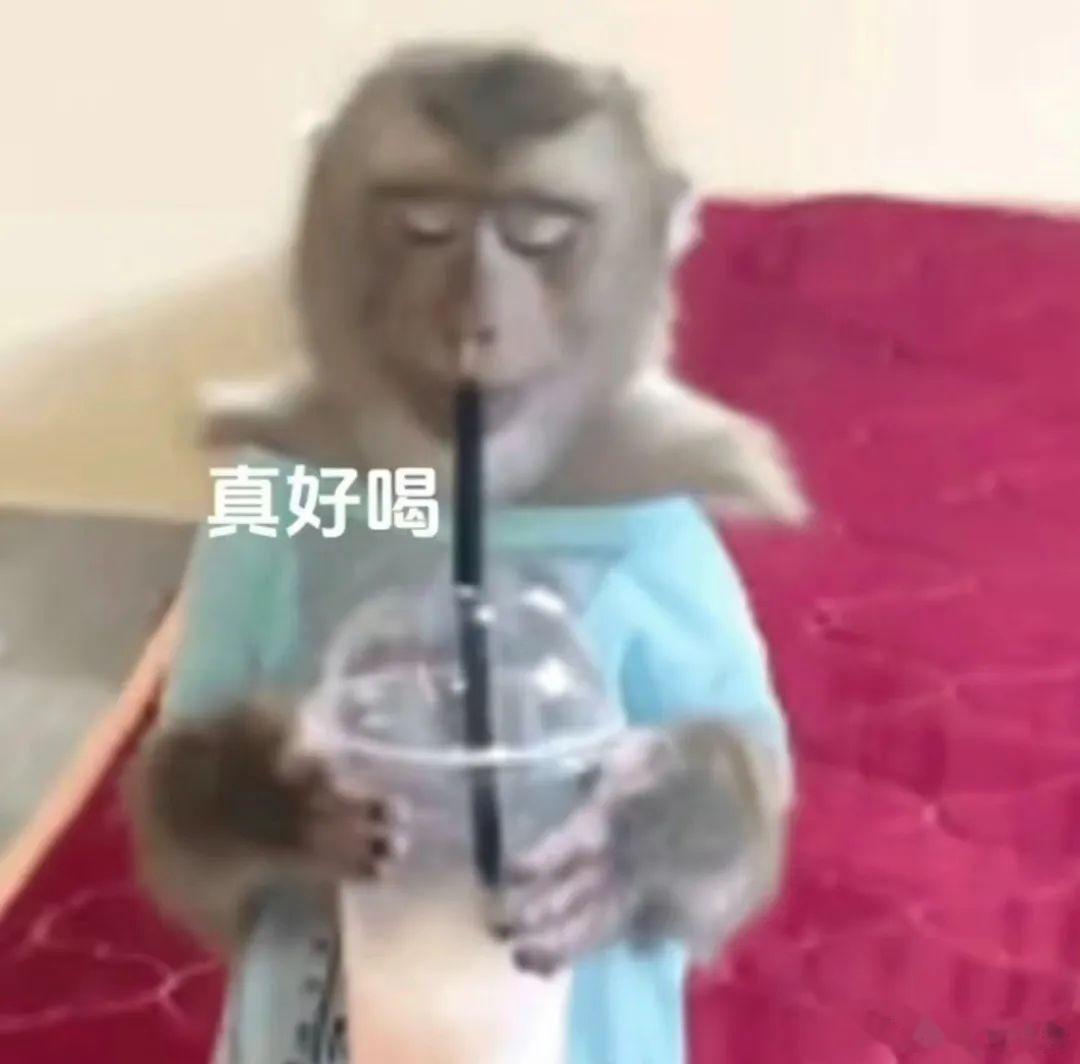娄星尾社交指南[来][太阳]——娄星尾找荣亲和友能其乐融融，相对幸福。张箕胄是很