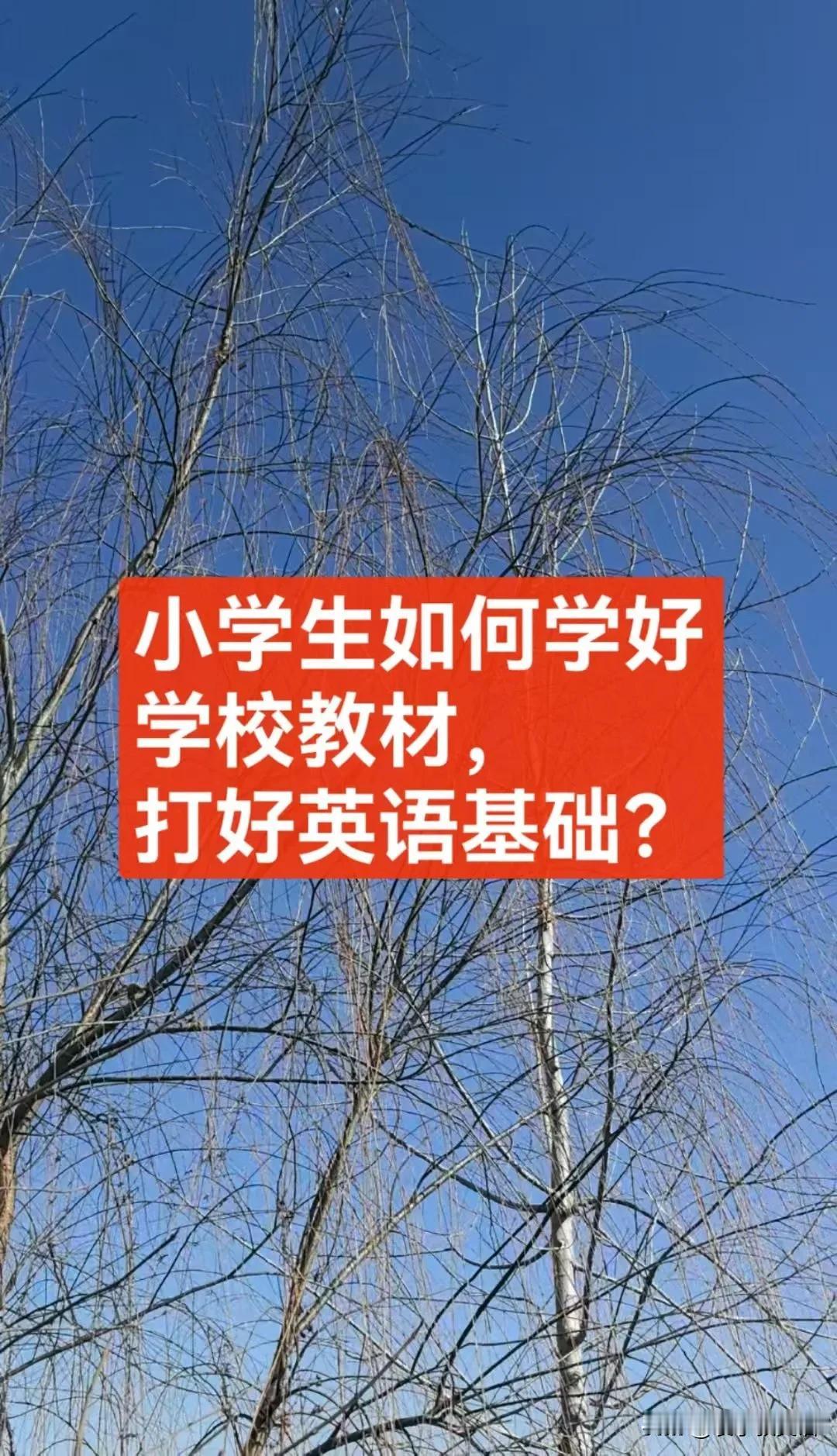 对于使用三年级起点英语教材的小学生来说，学好英语并打好基础可从以下几方面入手：