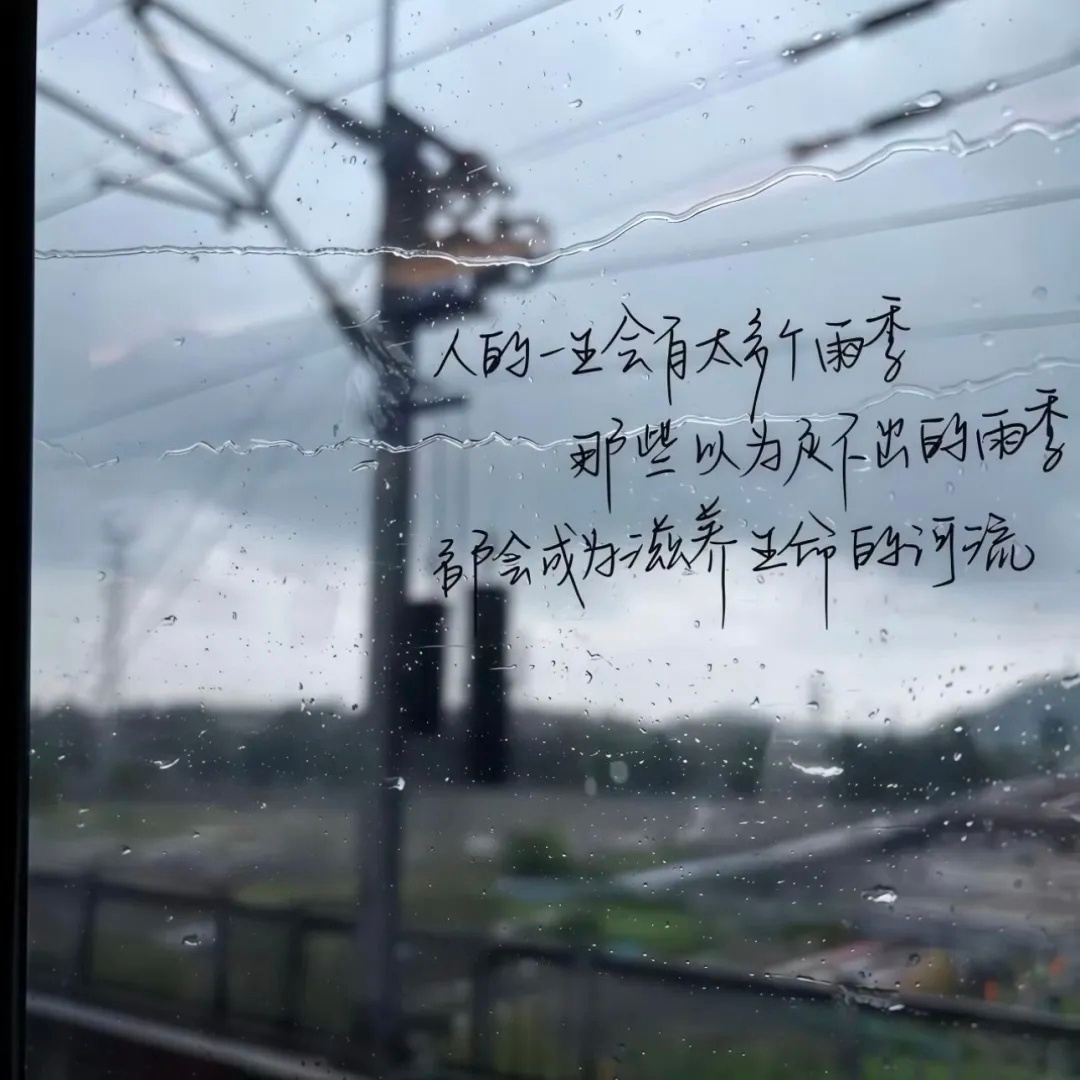 我不再讨厌星期一了，我已经成熟了，我讨厌一整个星期。 