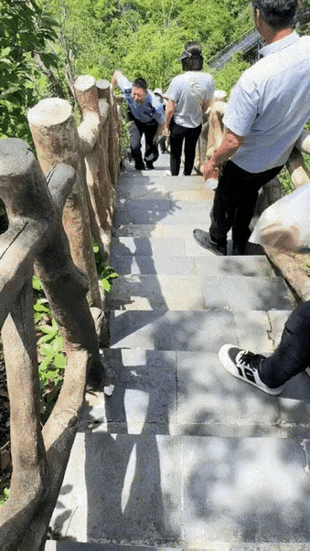 泰山打架报警，JC上来了，他们和好了怎么办？
