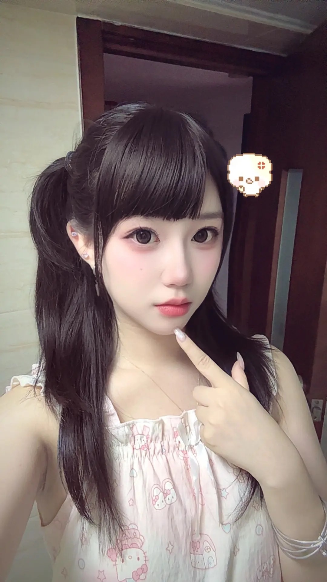 像蝴蝶狗 ​​​